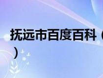 抚远市百度百科（抚远市属于哪个省哪个县市）