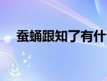 蚕蛹跟知了有什么关系（蝉蛹是知了吗）