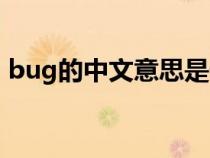 bug的中文意思是什么（bug什么意思中文）