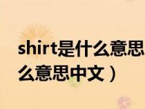 shirt是什么意思中文翻译怎么读（shirt是什么意思中文）