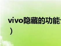 vivo隐藏的功能介绍（vivo的10个隐藏功能）