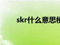 skr什么意思梗网络（skr什么意思）