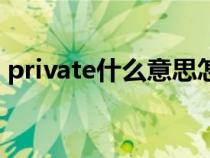 private什么意思怎么读（private什么意思）