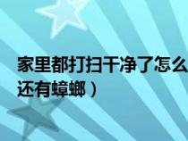 家里都打扫干净了怎么会有蟑螂（家里打扫得很干净为什么还有蟑螂）