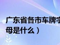 广东省各市车牌字母代码（广东省各市车牌字母是什么）