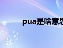 pua是啥意思说（pua是啥意思）