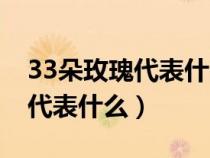 33朵玫瑰代表什么意思送闺蜜呢（33朵玫瑰代表什么）