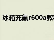 冰箱充氟r600a教程（冰箱充氟利昂的步骤）