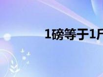 1磅等于1斤吗（1磅是1斤吗）