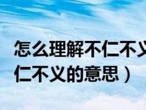 怎么理解不仁不义的意思和造句（怎么理解不仁不义的意思）