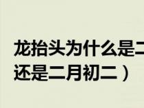 龙抬头为什么是二月初二（龙抬头是二月初一还是二月初二）