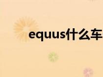 equus什么车子（equus是哪个车）