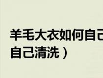 羊毛大衣如何自己清洗不掉毛（羊毛大衣如何自己清洗）