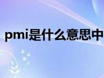 pmi是什么意思中文翻译（pmi是什么意思）