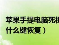 苹果手提电脑死机按什么键恢复（电脑死机按什么键恢复）