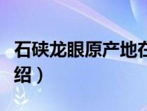 石硖龙眼原产地在什么地方（石硖龙眼简单介绍）