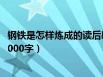 钢铁是怎样炼成的读后感100字（钢铁是怎样炼成的读后感1000字）