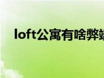 loft公寓有啥弊端（LOFT公寓的利与弊）