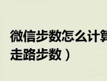 微信步数怎么计算走多少公里（微信怎么计算走路步数）