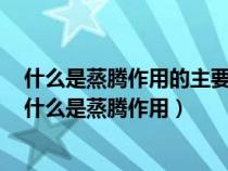 什么是蒸腾作用的主要器官由什么什么和什么三部分组成（什么是蒸腾作用）