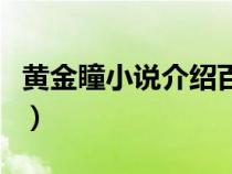 黄金瞳小说介绍百度百科（黄金瞳的作品简介）