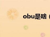 obu是啥（obu是什么设备）