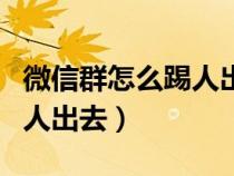 微信群怎么踢人出去没有减号（微信群怎么踢人出去）