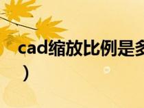 cad缩放比例是多少（cad缩放比例如何设置）