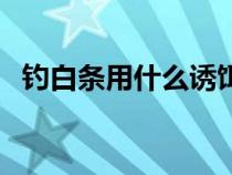 钓白条用什么诱饵（钓白条鱼用什么饵料）