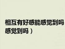 相互有好感能感觉到吗 一个眼神告诉你答案（相互有好感能感觉到吗）