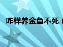 咋样养金鱼不死（家里怎么养金鱼不会死）