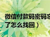 微信付款码密码忘了怎么办（微信支付密码忘了怎么找回）