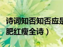 诗词知否知否应是绿肥红瘦全诗（知否应是绿肥红瘦全诗）