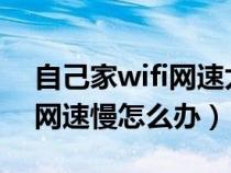 自己家wifi网速太慢怎么办（自己家的WIFI网速慢怎么办）