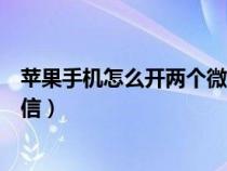 苹果手机怎么开两个微信分身功能（苹果手机怎么开两个微信）