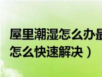 屋里潮湿怎么办最快最有效的方法（屋里潮湿怎么快速解决）