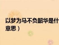 以梦为马不负韶华是什么意思呢（以梦为马不负韶华是什么意思）