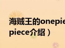 海贼王的onepiece到底是什么（海贼王onepiece介绍）