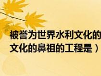 被誉为世界水利文化的鼻祖是水利工程师（被誉为世界水利文化的鼻祖的工程是）