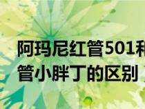 阿玛尼红管501和小胖丁506（阿玛尼红管黑管小胖丁的区别）