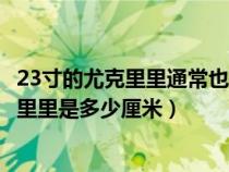 23寸的尤克里里通常也被称作什么型的尤克里里（23寸尤克里里是多少厘米）