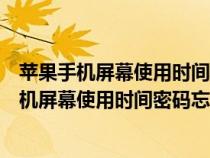 苹果手机屏幕使用时间密码忘记了怎么办才能解开（苹果手机屏幕使用时间密码忘记了怎么办啊）