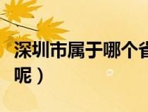 深圳市属于哪个省呢现在（深圳市属于哪个省呢）