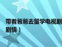 带着爸爸去留学电视剧演员表介绍（带着爸爸去留学电视剧剧情）