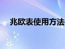 兆欧表使用方法视频（兆欧表使用方法）