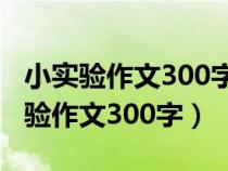 小实验作文300字优秀作文三年级下册（小实验作文300字）