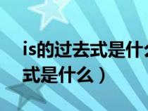 is的过去式是什么怎么写?谢谢啦（is的过去式是什么）