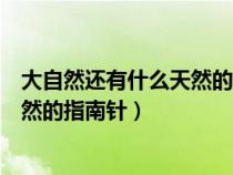 大自然还有什么天然的指南针有什么用（大自然还有什么天然的指南针）