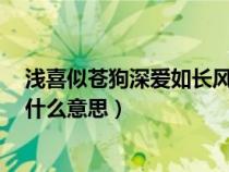 浅喜似苍狗深爱如长风什么意思9（浅喜似苍狗深爱如长风什么意思）