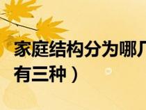 家庭结构分为哪几种类型（家庭结构类型主要有三种）